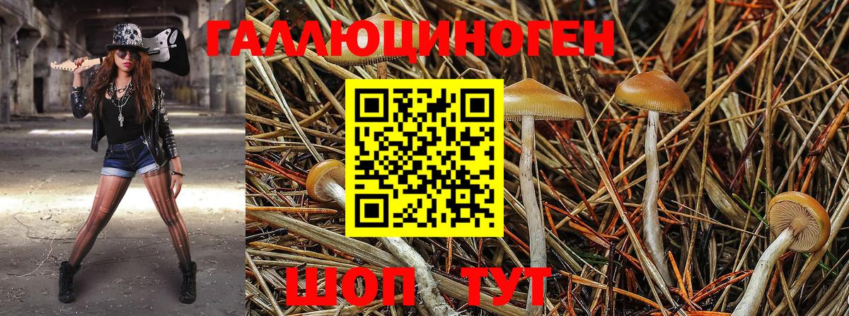 цены наркотик  Вход с VPN  Новоуральск  Псилоцибиновые грибы GOLDEN TEACHER 